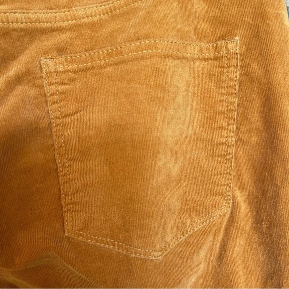 St. John Bay Corduroy Straight Leg Pants pumpkin color size 12 EUC - Picture 13 of 14